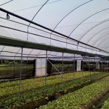 【廣西柳州蔬菜溫室大棚 花卉育苗溫室大棚 簡(jiǎn)易薄膜大棚圖片】廣西柳州蔬菜溫室大棚 花卉育苗溫室大棚 簡(jiǎn)易薄膜大棚