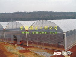 連棟薄膜溫室大棚 農(nóng)程溫室設(shè)備的創(chuàng)新之作